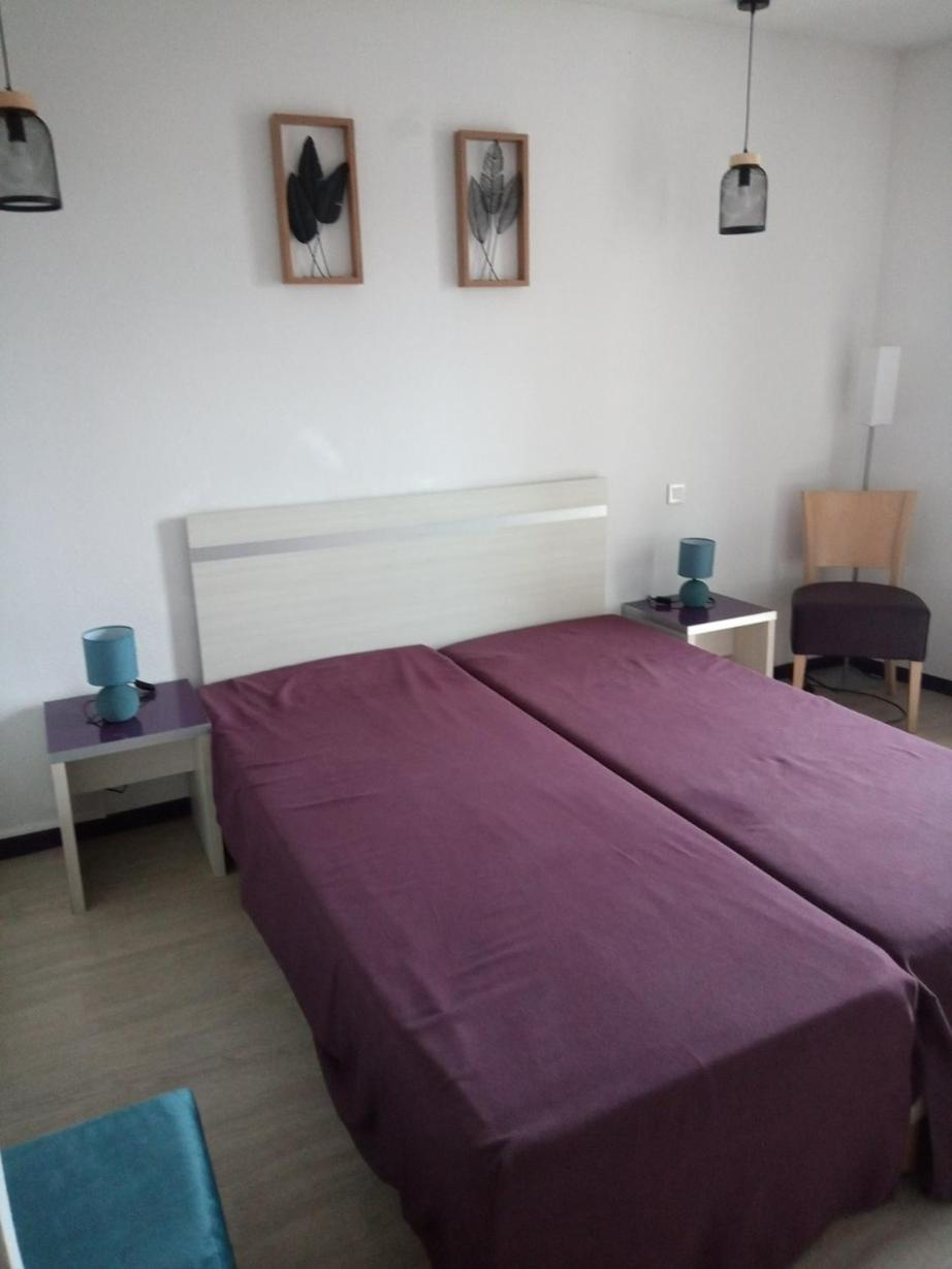 Agreable Studio Familial A Lourdes, Proche Gare Екстериор снимка